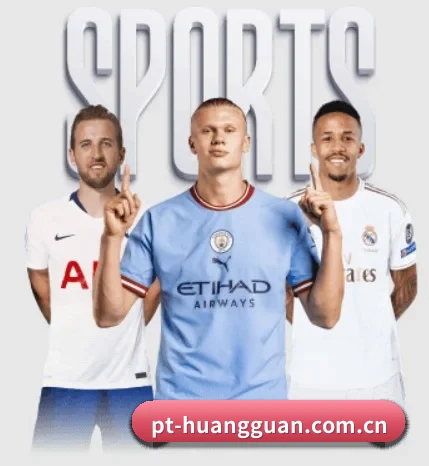 了解平台 - 体育资讯内容服务